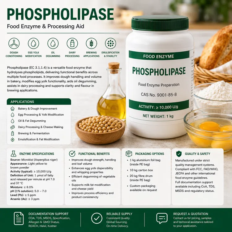 Phospholipase food enzyme food additive ingredient illustration